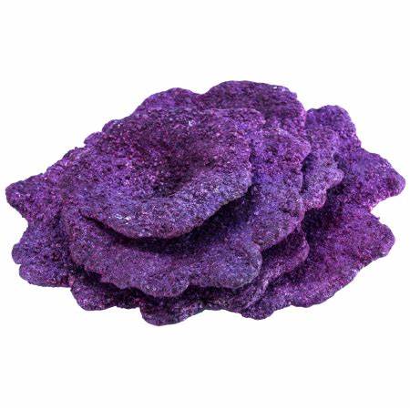 REAL REEF PLATE CORAL ROCK 1KG