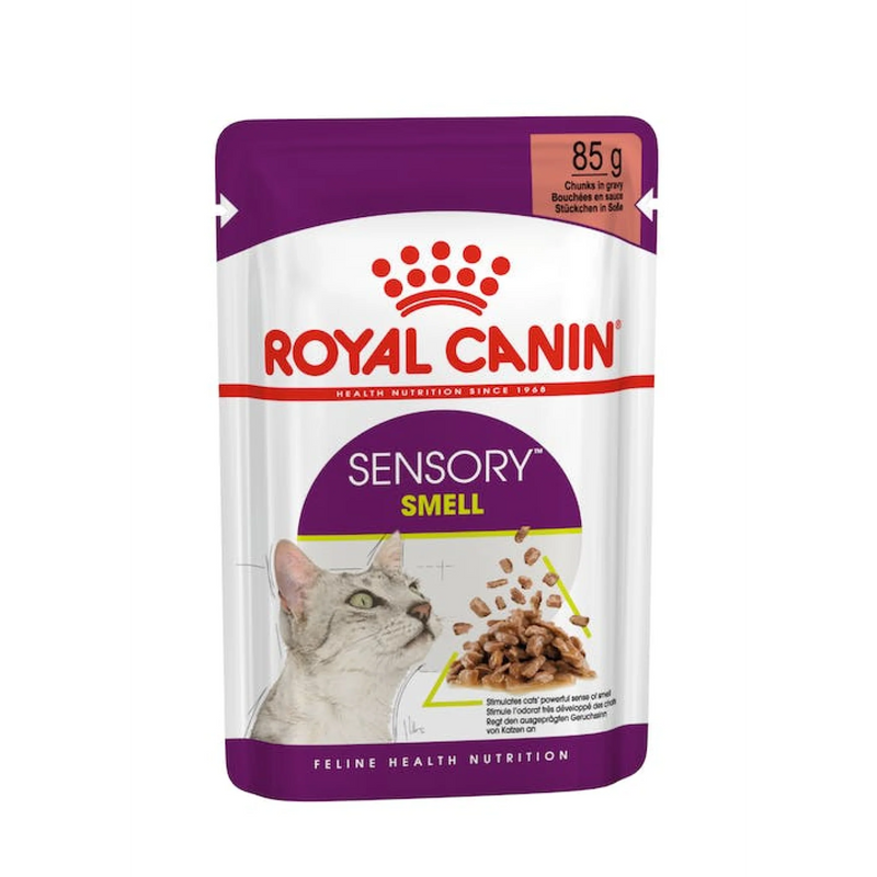 Royal Canin Feline Health Nutrition Sensory Smell Gravy (Wet Food - Pouches) 12 x 85g