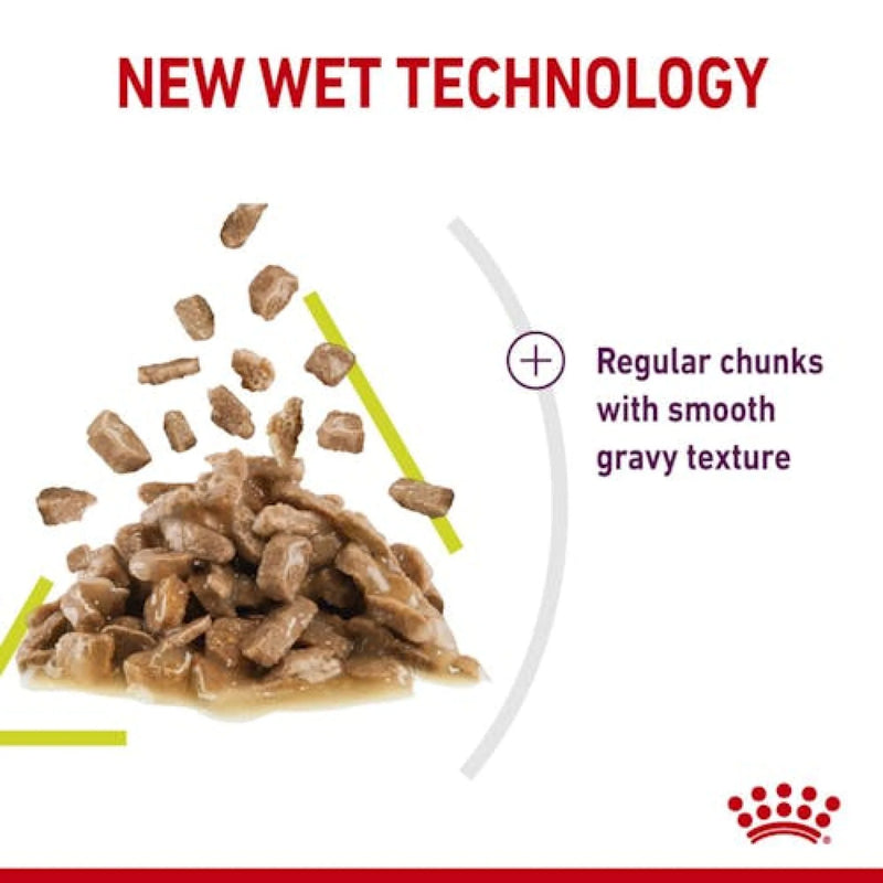 Royal Canin Feline Health Nutrition Sensory Smell Gravy (Wet Food - Pouches) 12 x 85g