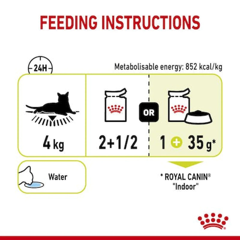 Royal Canin Feline Health Nutrition Sensory Smell Gravy (Wet Food - Pouches) 12 x 85g