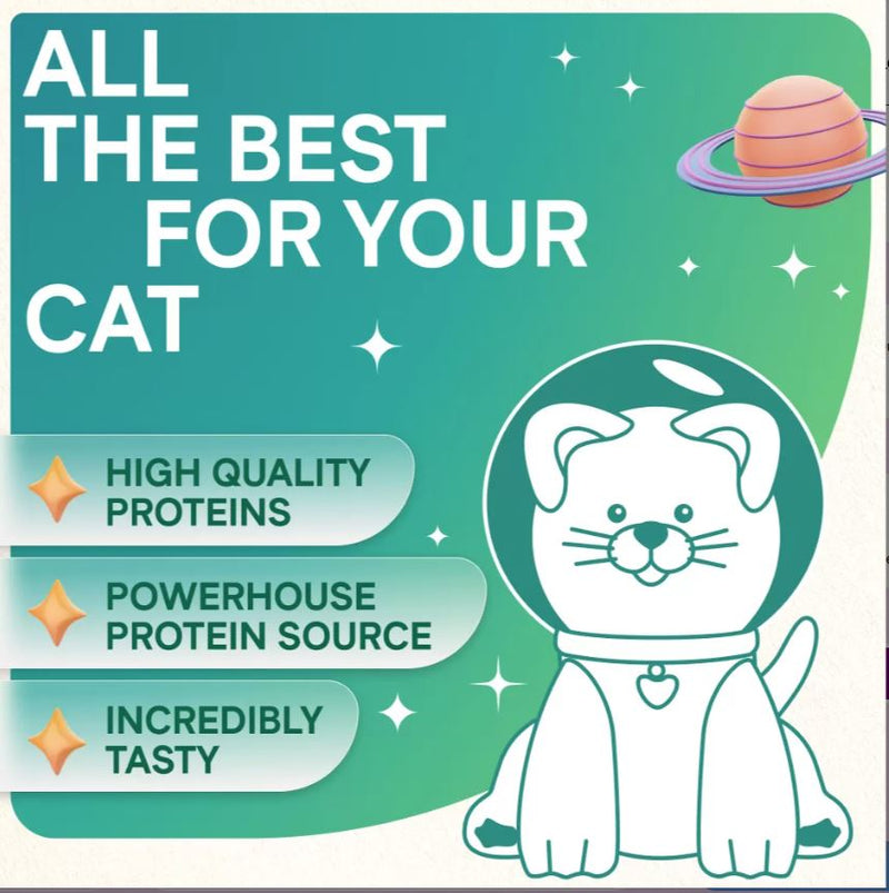 Cosmocat Liquid Salmon Cream Cat Treats  Pink Tube 168g
