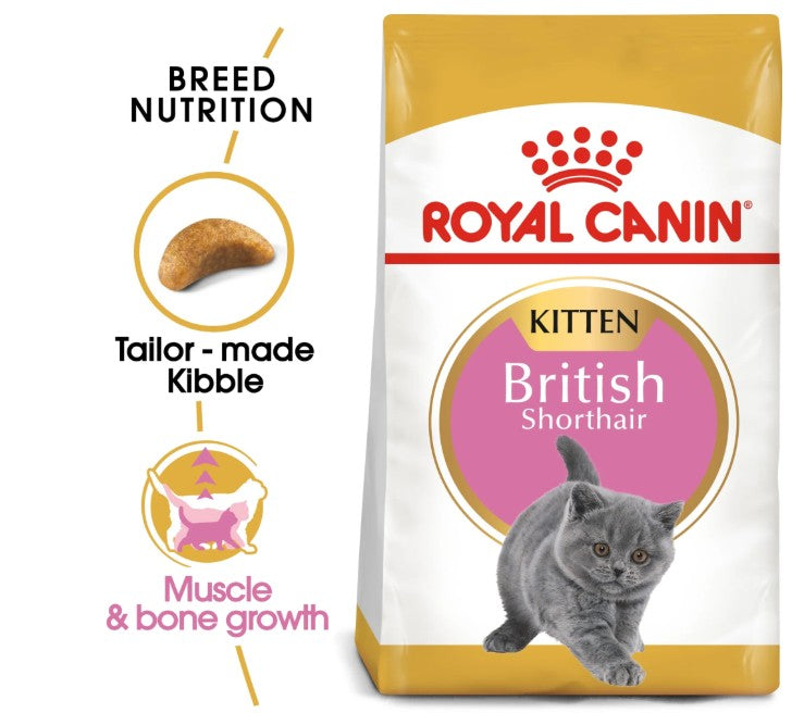 Royal Canin Feline Breed Nutrition British Shorthair Kitten
