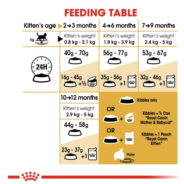 Royal Canin Feline Breed Nutrition British Shorthair Kitten