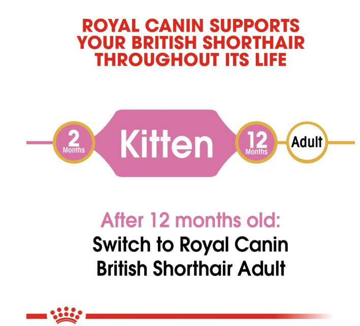 Royal Canin Feline Breed Nutrition British Shorthair Kitten