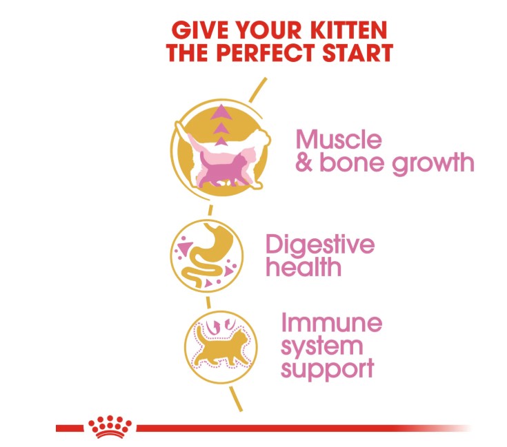 Royal Canin Feline Breed Nutrition British Shorthair Kitten