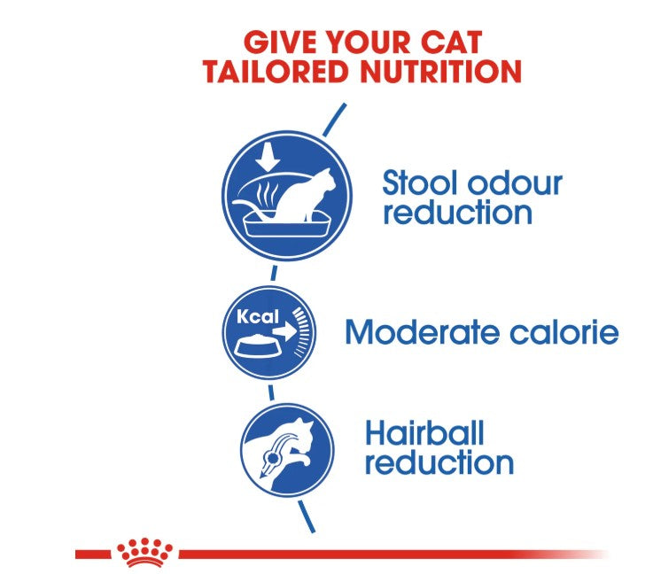 Royal Canin Feline Health Nutrition Indoor