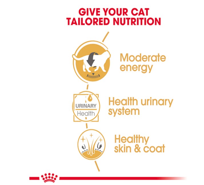 Royal Canin Feline Breed Nutrition British Shorthair (Wet Food - Pouches) 12 x 85 g