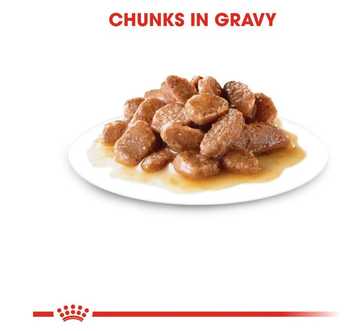 Royal Canin Feline Health Nutrition Instinctive Adult Cats Gravy (Wet Food - Pouches) 12 x 85 g