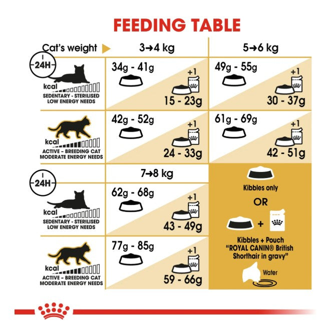 Royal Canin Feline Breed Nutrition British Shorthair Adult