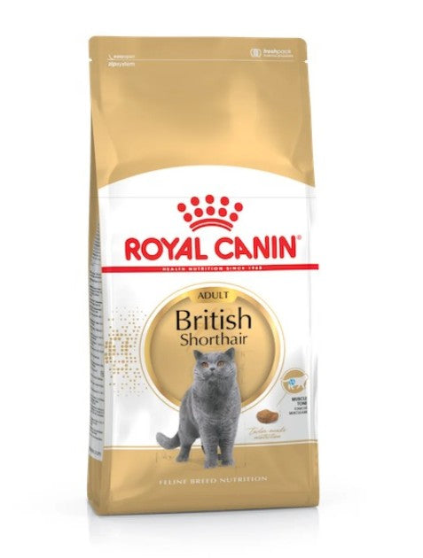 Royal Canin Feline Breed Nutrition British Shorthair Adult