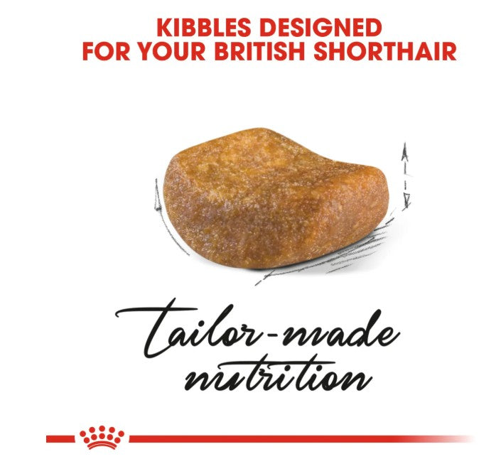 Royal Canin Feline Breed Nutrition British Shorthair Adult
