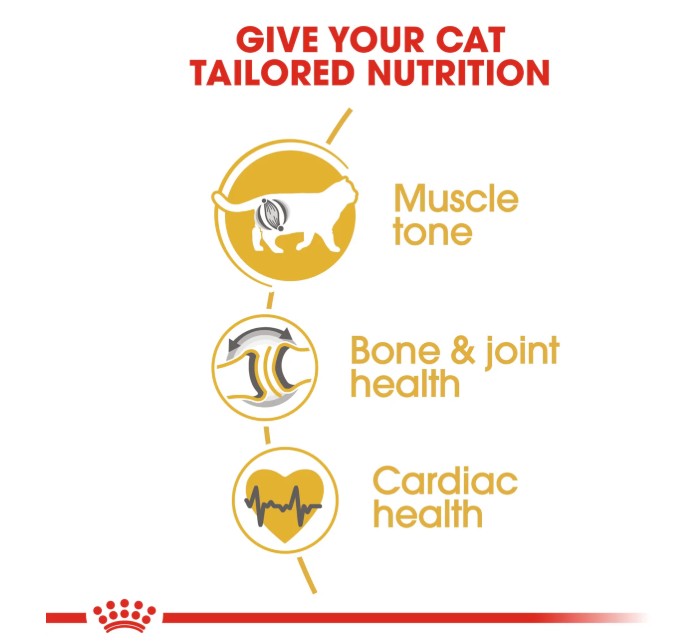 Royal Canin Feline Breed Nutrition British Shorthair Adult
