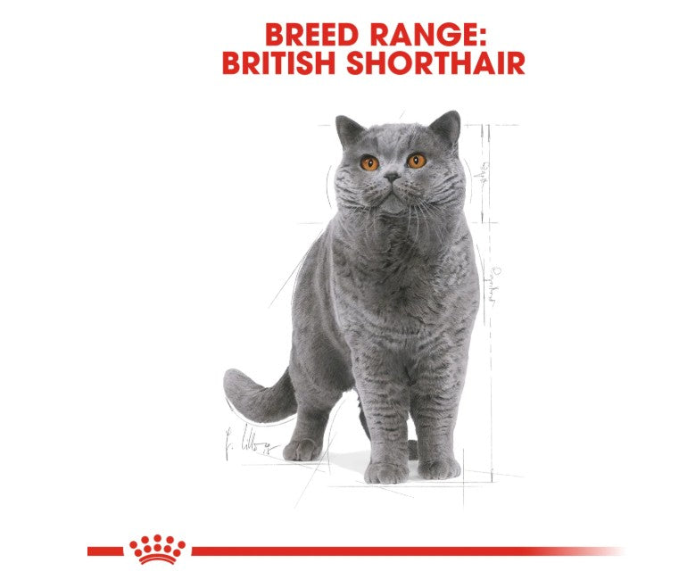 Royal Canin Feline Breed Nutrition British Shorthair Adult