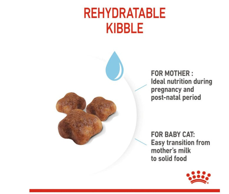 Royal Canin Feline Health Nutrition Mother and Baby Cat