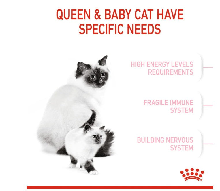 Royal Canin Feline Health Nutrition Mother and Baby Cat