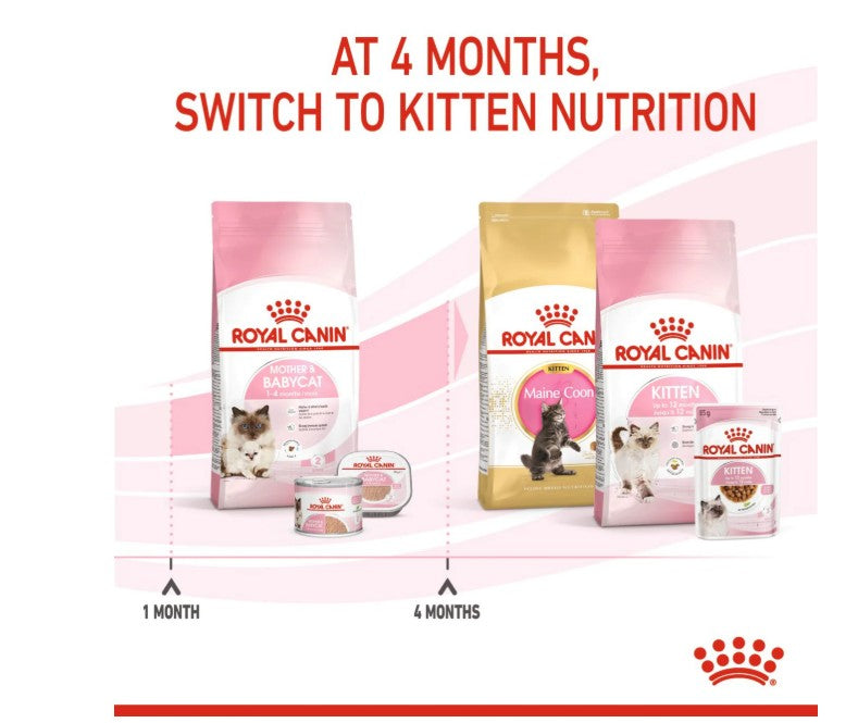 Royal Canin Feline Health Nutrition Mother and Baby Cat