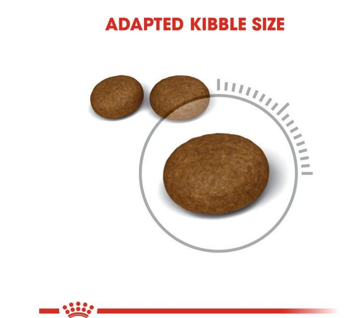 Royal Canin Feline Care Nutrition Hair & Skin