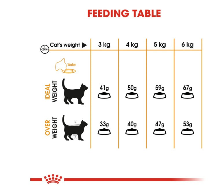 Royal Canin Feline Care Nutrition Hair & Skin