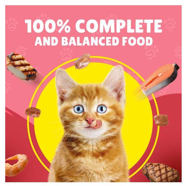 Purina Friskies Junior Chicken in Gravy Wet Cat Food Pouch 85g