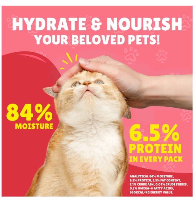 Purina Friskies Junior Chicken in Gravy Wet Cat Food Pouch 85g