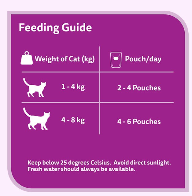 WHISKAS Wet Cat Food for Adult Cats (1+Years), Chicken in Gravy Flavour, 12 Pouches (12 x 80g)