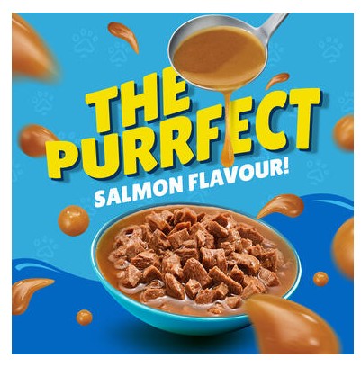 Friskies With Salmon In Gravy Wet Cat Food 85g