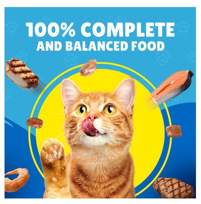 Friskies With Salmon In Gravy Wet Cat Food 85g