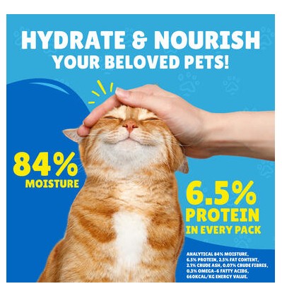 Friskies With Salmon In Gravy Wet Cat Food 85g