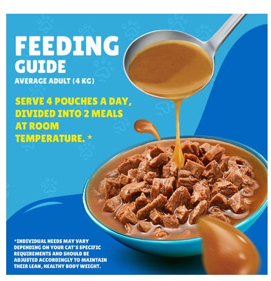 Friskies With Salmon In Gravy Wet Cat Food 85g