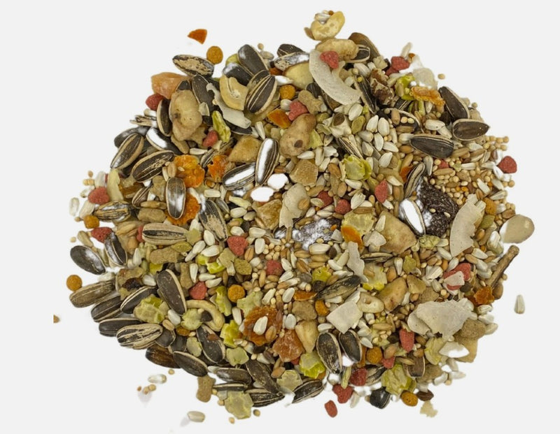 Higgins Sunburst Gourmet Blend Conure Bird Food – 3 lb (1.36 kg)