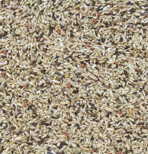 Higgins Vita Seed Natural Blend Canary Food – 2 lb (0.91 kg)