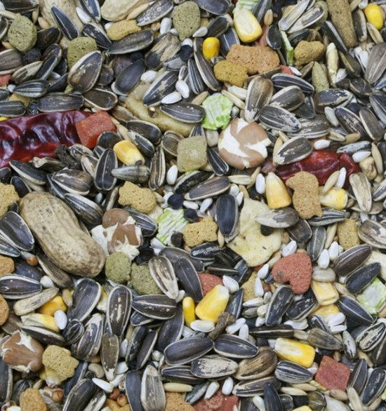 Higgins Vita Seed Natural Blend Parrot Food – 3 lb (1.36 kg)