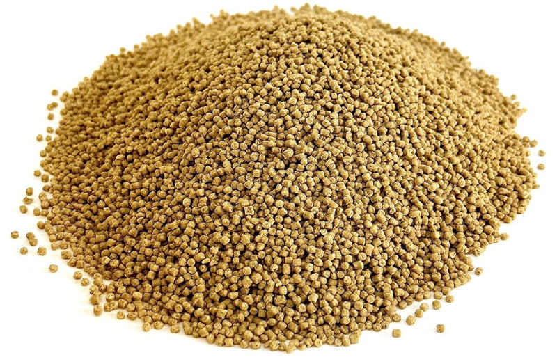 Harrison’s High Potency Super Fine Organic Bird Food – 1 lb (453 g)