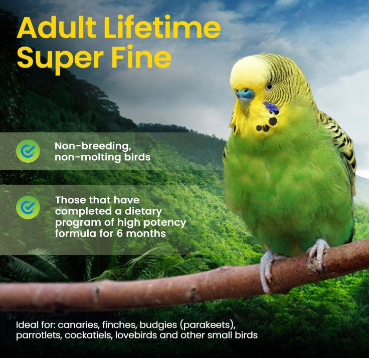 Harrison’s Adult Lifetime Super Fine Organic Bird Food – 1 lb (454 g)