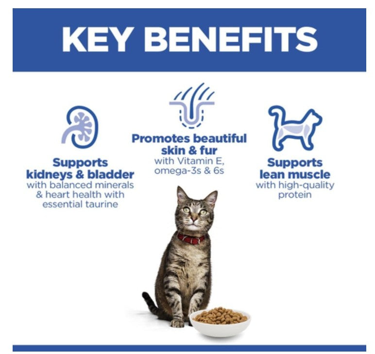 Hill’s Science Plan Adult 1–6 Cat Food with Salmon - 3 Kgs