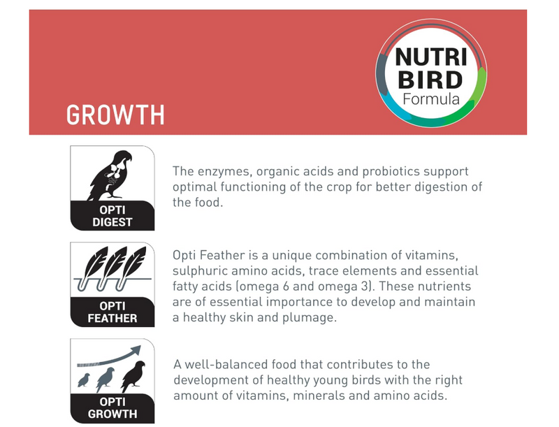 NutriBird A21 Hand-Rearing Formula – 250g