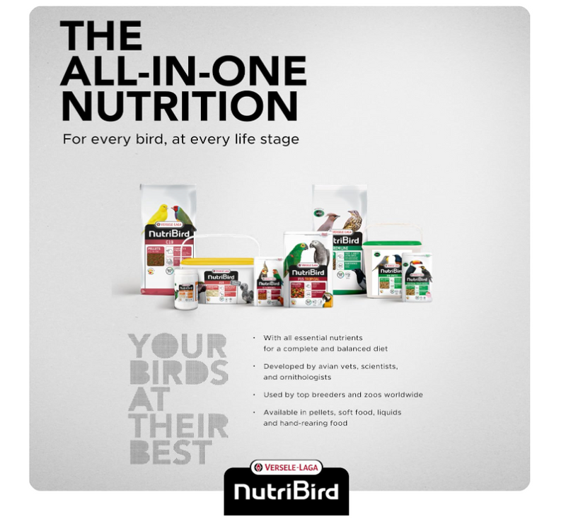 NutriBird A21 Hand-Rearing Formula – 250g