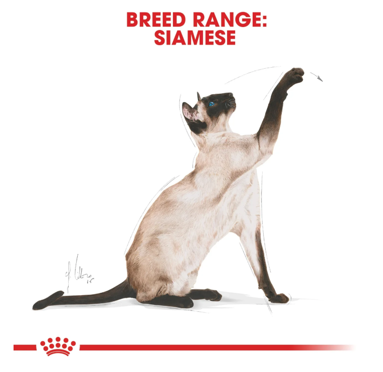 Royal Canin Siamese Adult Dry Cat Food 2kg