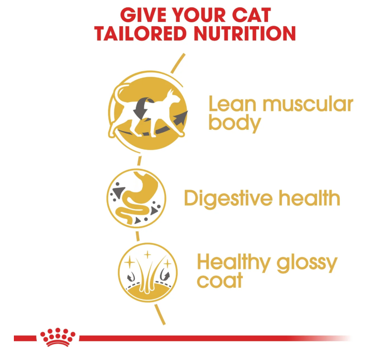 Royal Canin Siamese Adult Dry Cat Food 2kg
