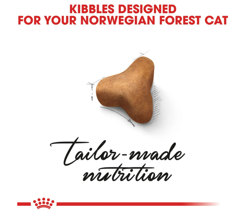 Royal Canin Norwegian Forest Cat Adult 2kg