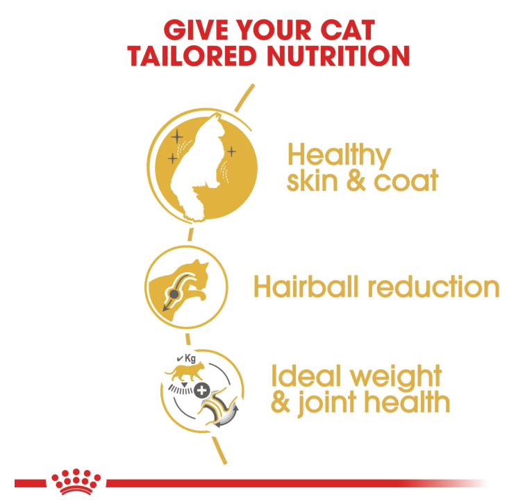 Royal Canin Norwegian Forest Cat Adult 2kg