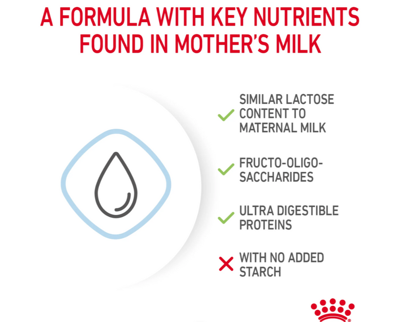 Royal Canin Babydog Milk 400g | Puppy Milk