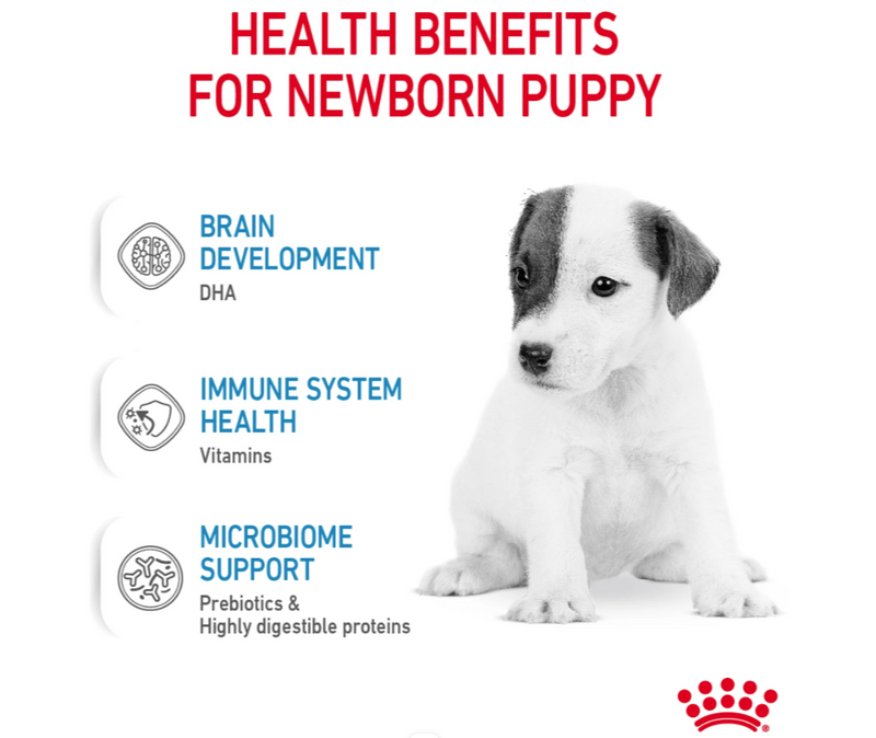 Royal Canin Babydog Milk 400g | Puppy Milk