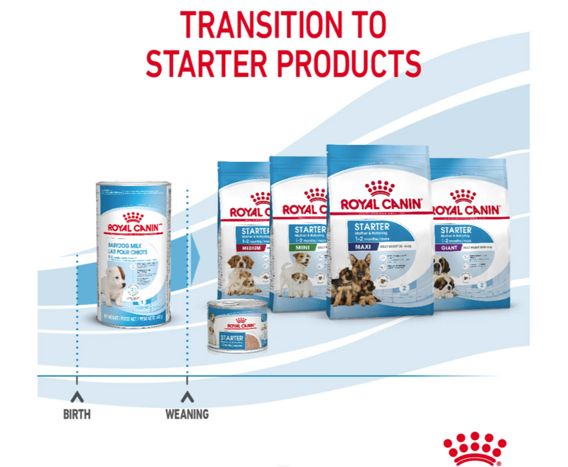 Royal Canin Babydog Milk 400g | Puppy Milk