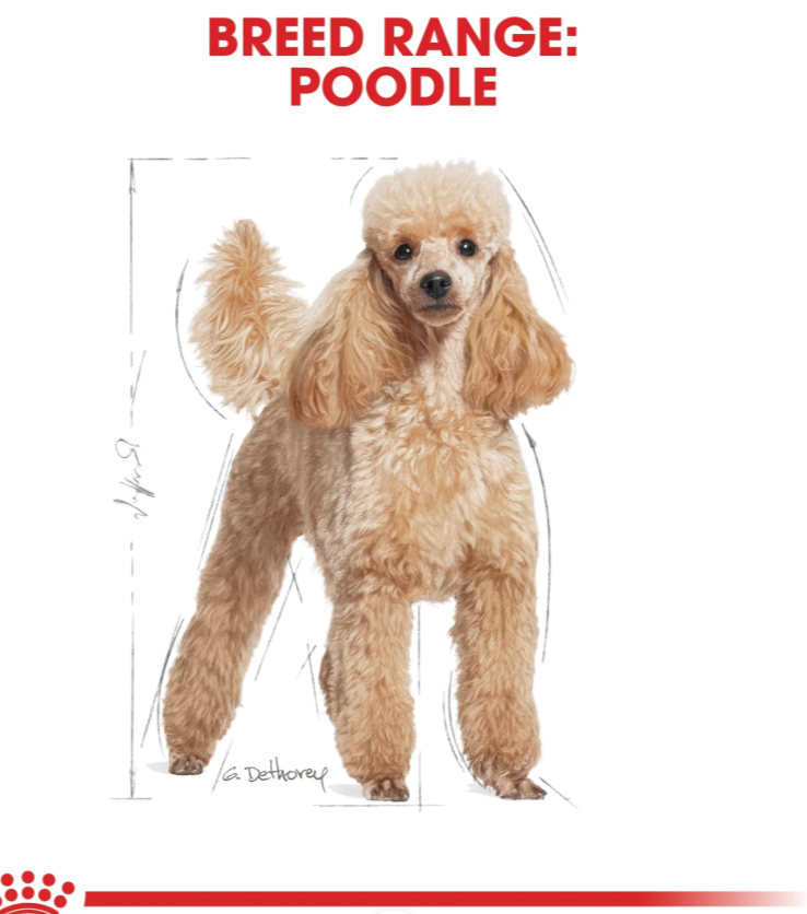 Royal Canin Poodle Adult Dry Dog Food 1.5 kg