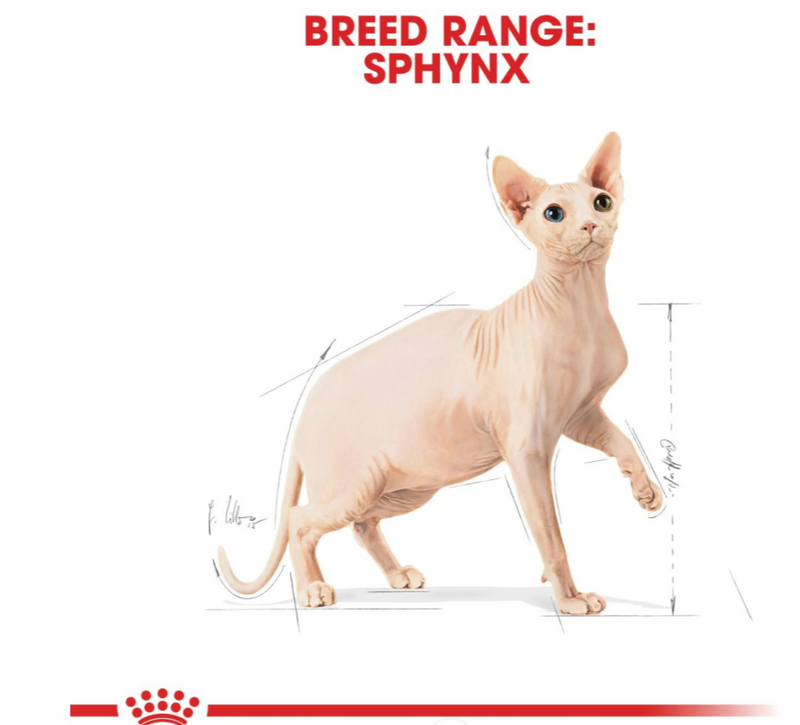 Royal Canin Sphynx Adult Dry Cat Food 2 kg