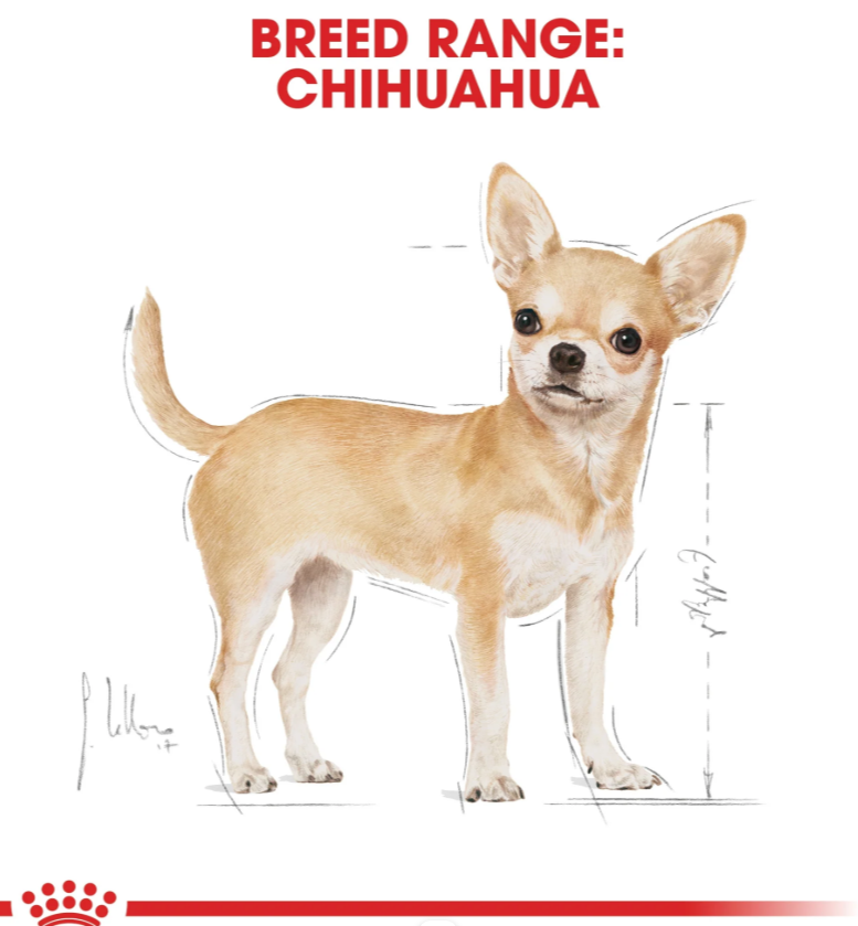 Royal Canin Chihuahua Adult Dry Dog Food 1.5 kg