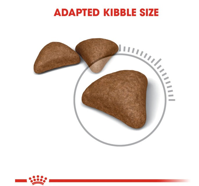 Royal Canin Feline Care Nutrition Hairball Care