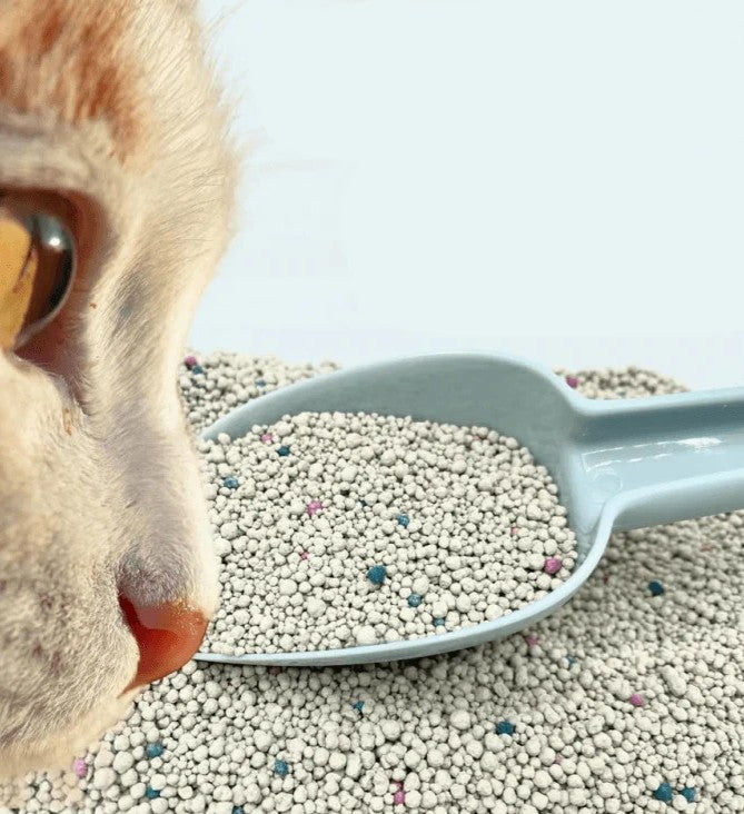 Kitty Choice Pure Natural Bentonite Cat Litter – 20kg