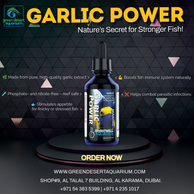 Garlic Power 30 mL